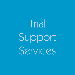 Graphics and Technology Support Services for Trial Attorneys